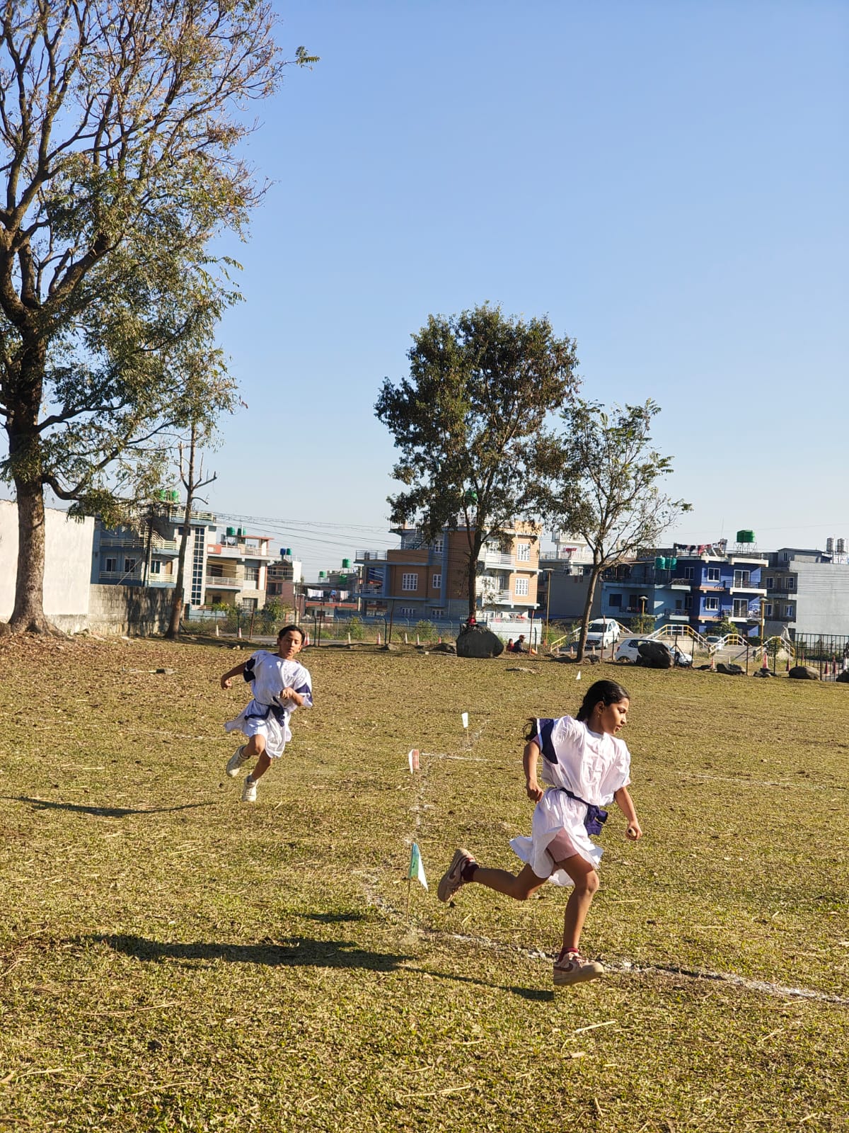 School Activity